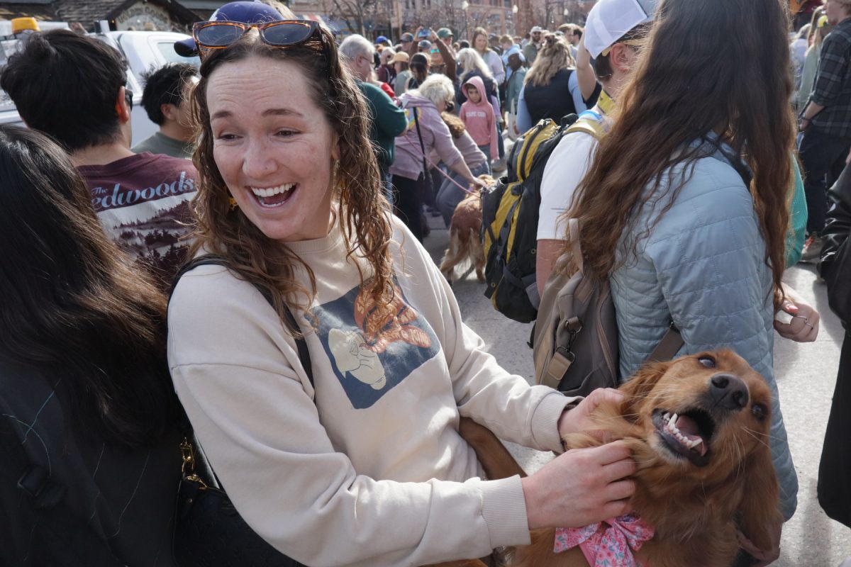 Daisy gets some love from a smiling woman in the crowd.