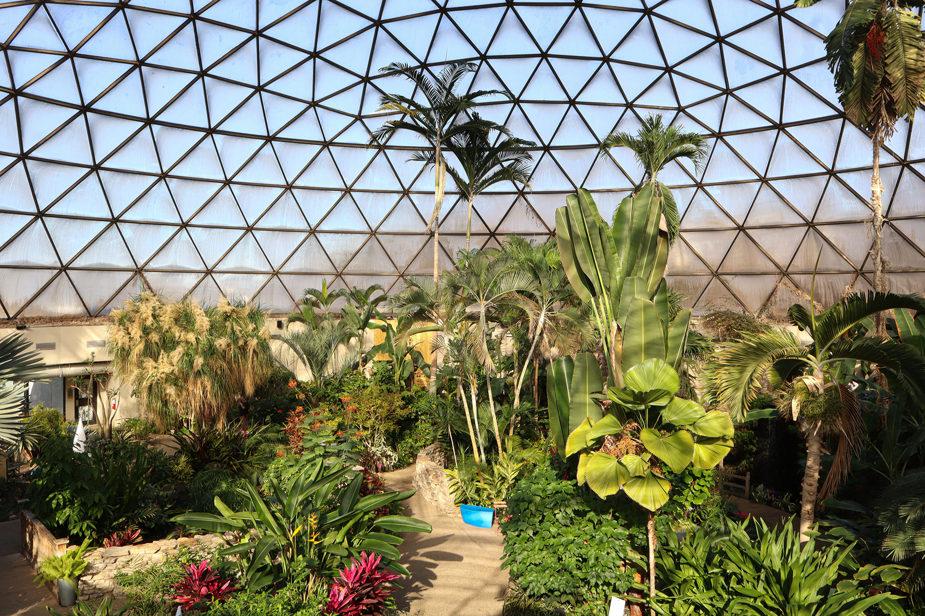 A variety of plants grow inside the Des Moines Botanical Garden, in Des Moines, Iowa, on Thursday, January 29, 2026